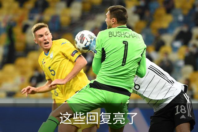 这些回复亮了